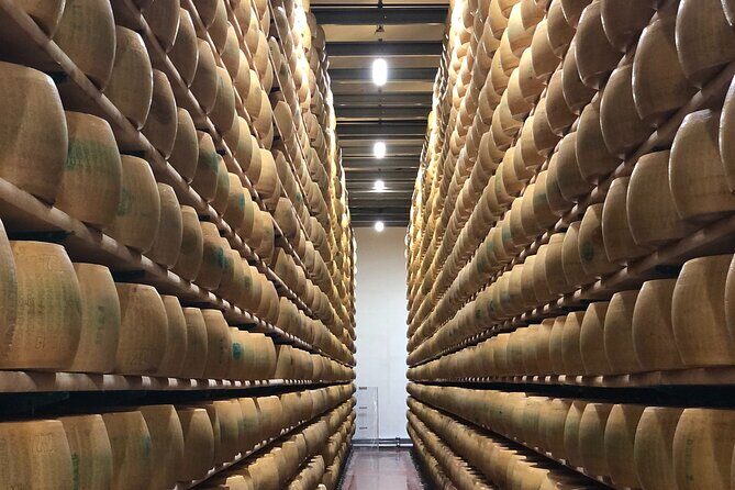 All In: Lambo,Ferrari,Balsamic,Wine, Parmigiano, PrivateTransport - Acetaia Pedroni in Modena: the balsamic vinegar experience and tasting