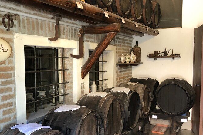 All In: Lambo,Ferrari,Balsamic,Wine, Parmigiano, PrivateTransport - Caseificio Bio Reggiani: Parmesan production areas, aging storage, and tasting