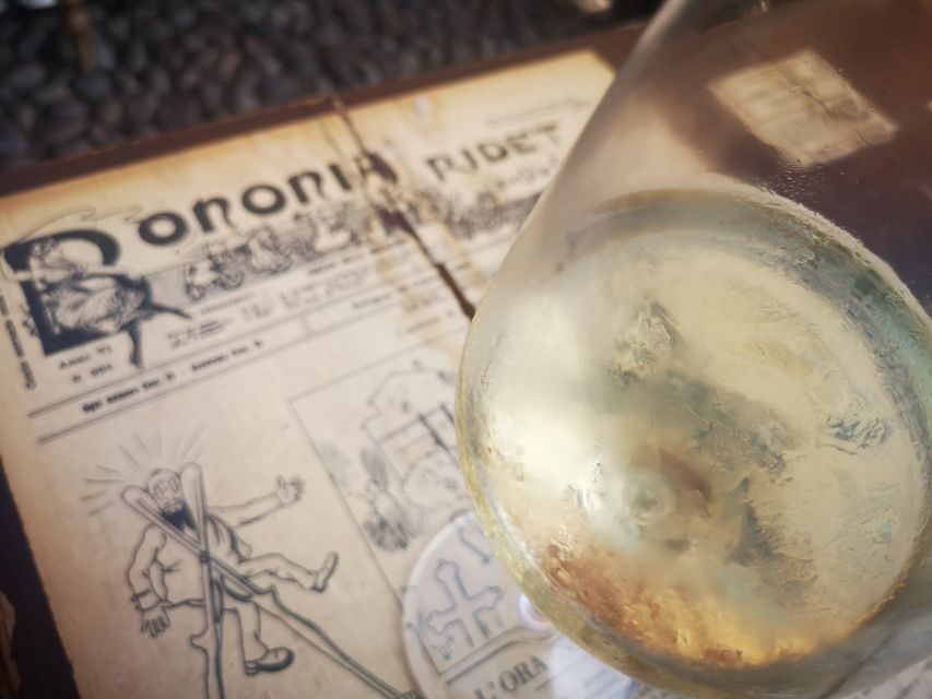 Bologna: City Center Guided Wine Walking Tour - Bologna Wine on Foot: Why This Tour Fits the Real Bologna