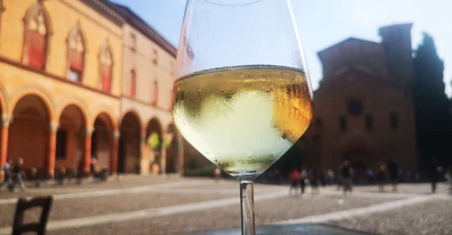 Bologna: City Center Guided Wine Walking Tour - Meeting at Piazza del Nettuno and Getting Oriented in Minutes