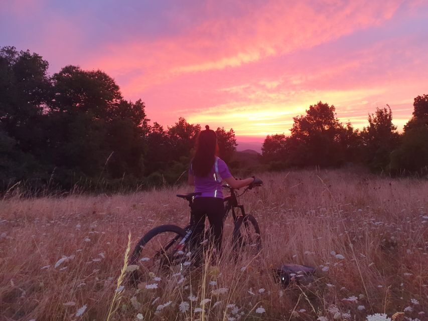 Bologna: E-Bike Guided Tour with Aperitivo - The Aperitivo Stop: Local Wine and Typical Products Done Right