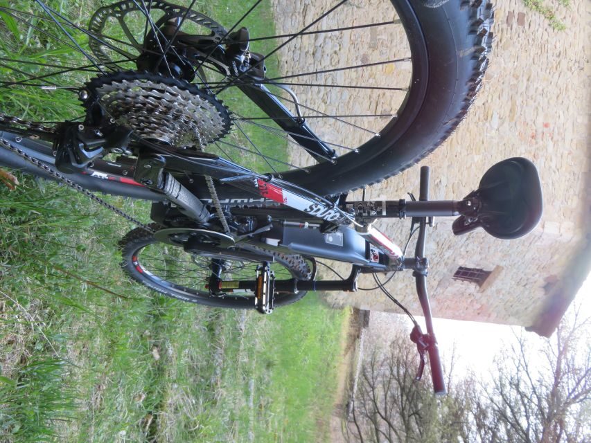 Bologna: E-Bike Guided Tour with Aperitivo - Who This Tour Is For (and Who Should Rethink It)