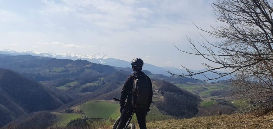 Bologna: E-Bike Guided Tour with Aperitivo - Price and Value: Is $152.93 a Good Deal?
