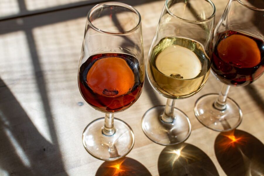 Bologna: Italian Red Wine and Food Tasting - What You’ll Eat With the Wine (and Why Pairing Changes Everything)