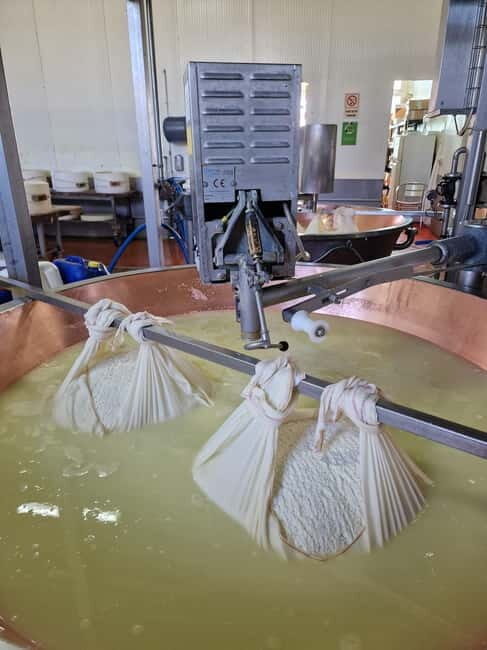 Bologna/Modena: Parmesan,Ferrari, Balsamic,Wine Tour w/Lunch - Acetaia balsamic vinegar: watching black gold get made