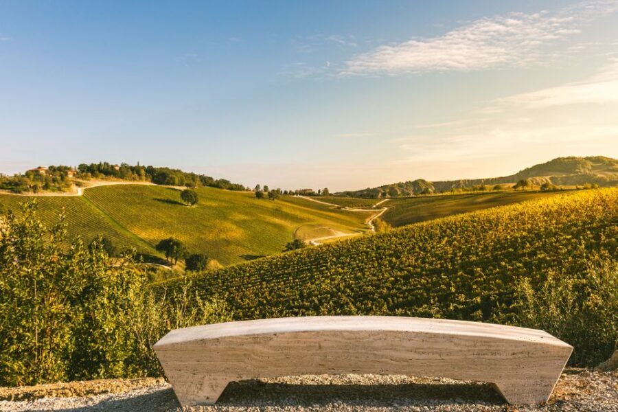 Bologna: Olive Grove and Vineyard Tour with Product Tastings - A Restored Estate Just Outside Bologna