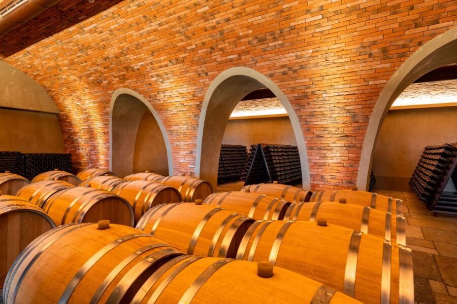 Bologna: Olive Grove and Vineyard Tour with Product Tastings - Walking 700 Hectares: Groves and Vineyards at Real Working Scale