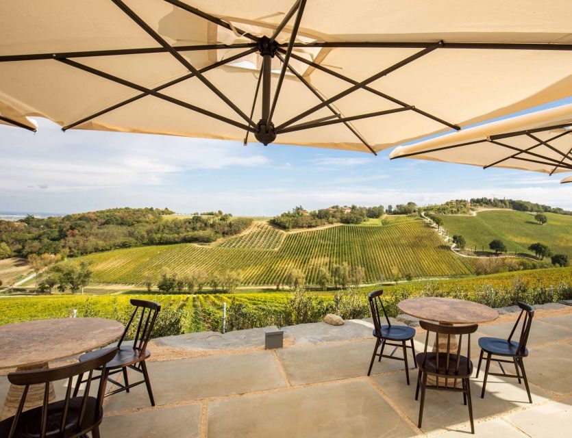 Bologna: Olive Grove and Vineyard Tour with Product Tastings - Estate Products You Can Actually Take Home