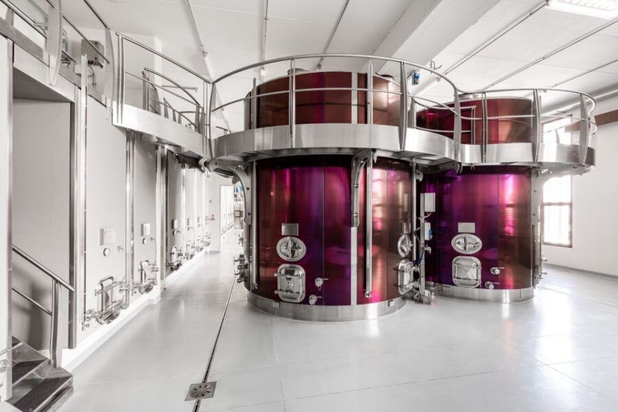 Bologna: Olive Grove and Vineyard Tour with Product Tastings - Olive Oil and Wine Tastings That Teach Your Tongue