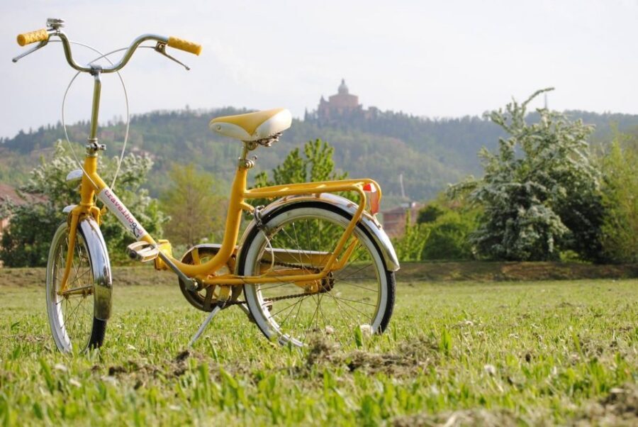 Bologna: Panoramic Bike Tour - Archiginnasio, the Two Towers area, and Bologna’s layered neighborhoods