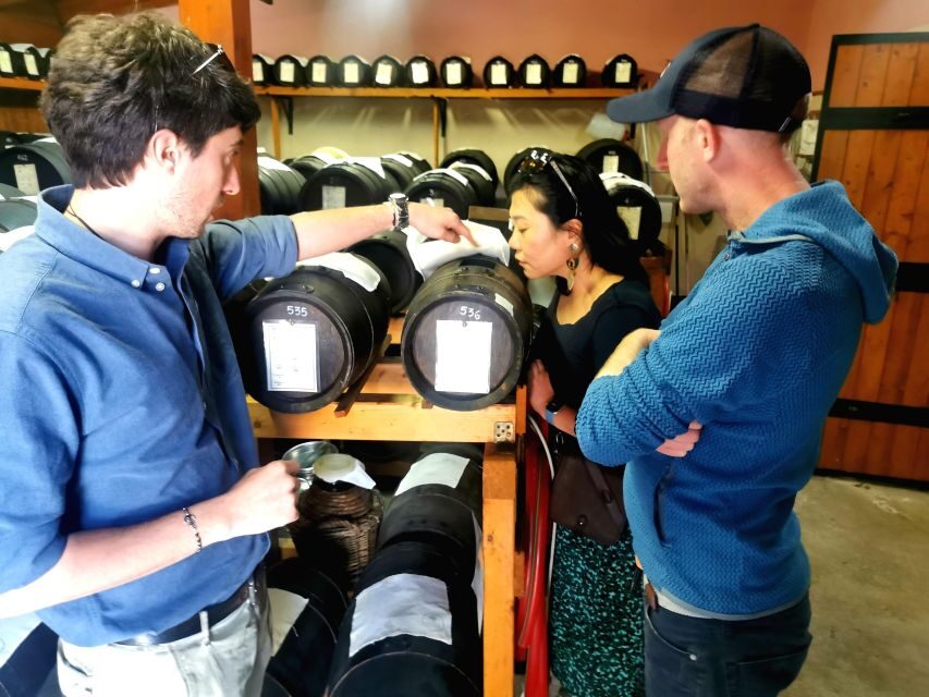 Bologna: Parmigiano, Wine and Balsamic Vinegar experience - The 7 am Bologna pickup: the quiet advantage of an early start