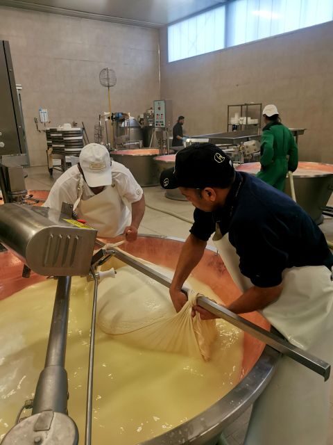 Bologna: Parmigiano, Wine and Balsamic Vinegar experience - Parmigiano Reggiano in a caseificio: from milk to thousands of wheels