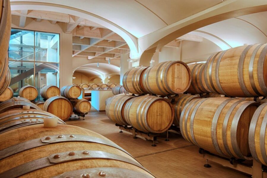 Bologna Vineyard Vista: a journey through Emilian wines - Key highlights to know before you go