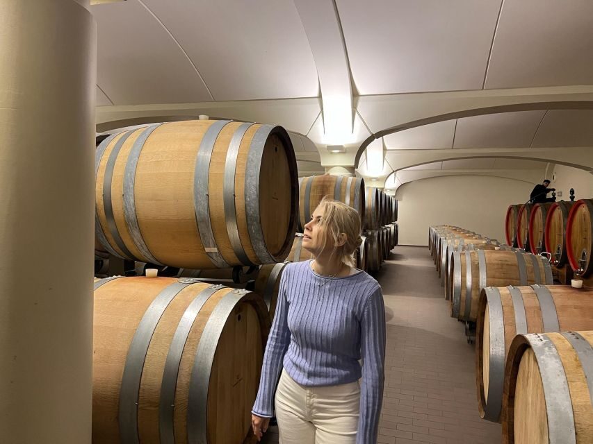 Bologna Vineyard Vista: a journey through Emilian wines - Two ways to taste: Classic (1h30) vs Deluxe (2h) in the Bologna hills