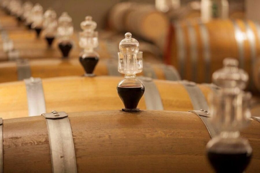 Bologna Vineyard Vista: a journey through Emilian wines - The human part: guides, enthusiasm, and a personal pace