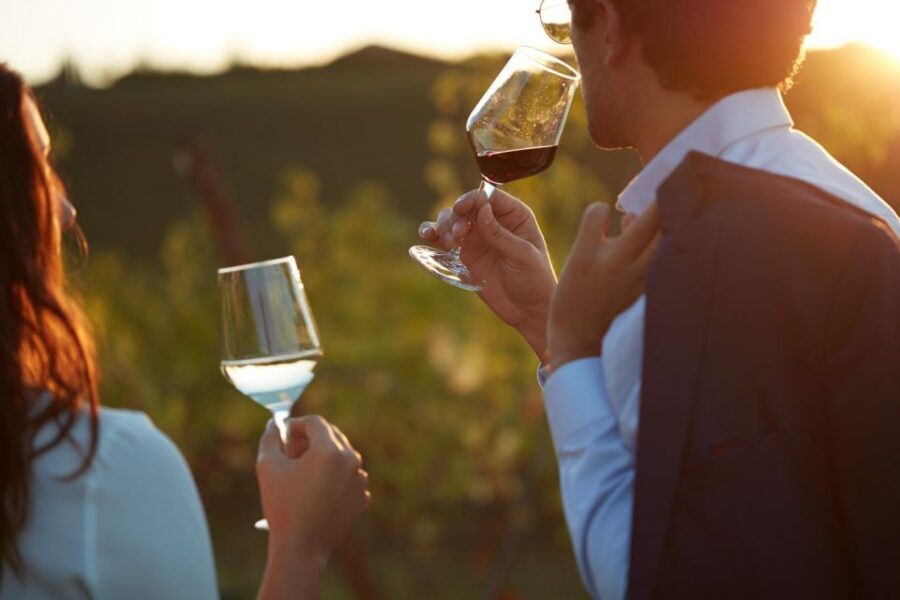 Bologna Vineyard Vista: a journey through Emilian wines - Entering the cellars: how the Classic Experience is built