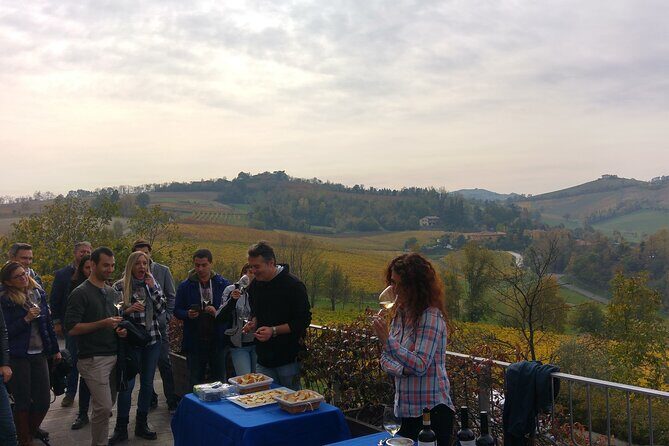 Bologna Wine Tasting & Winery Tour in the Colli Bolognesi - Price and Value: Why This Costs About What It Should