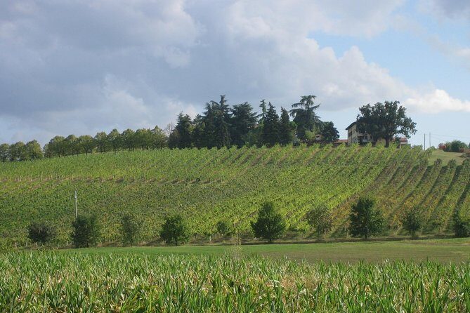 Bologna Wine Tasting & Winery Tour in the Colli Bolognesi - Enter the Winery: Meeting the Family Producers