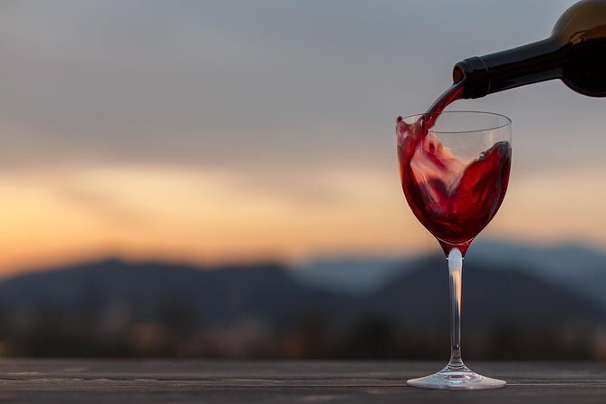 Bologna Wine Tasting & Winery Tour in the Colli Bolognesi - Vineyard Walk: Learning the Land Behind the Bottles