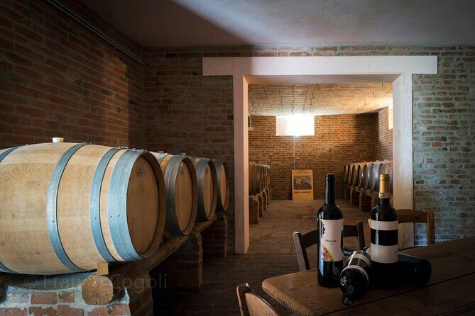 Bologna Wine Tasting & Winery Tour in the Colli Bolognesi - Cellars and Barrels: The Part Your Nose Will Remember