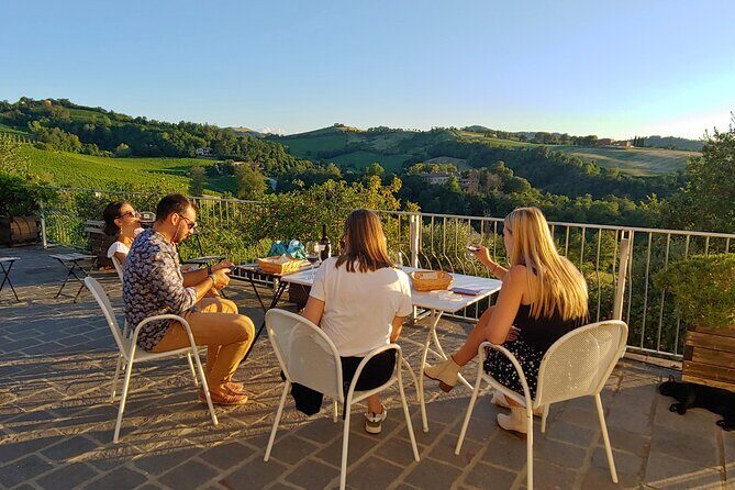 Bologna Wine Tasting & Winery Tour in the Colli Bolognesi - The 4-Wine Tasting on a Panoramic Infinity Terrace