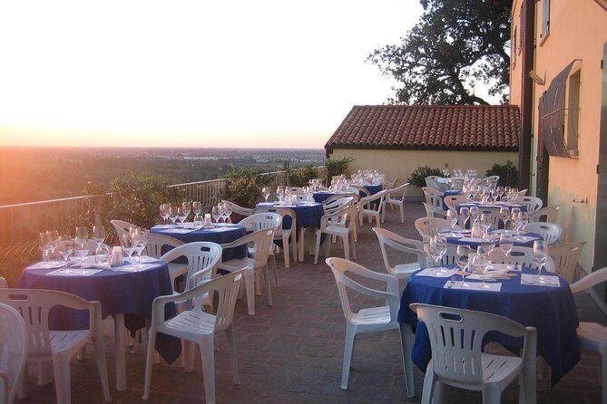 Bologna Wine Tasting & Winery Tour in the Colli Bolognesi - Guide Style and Pace: Why Small Groups Change Everything