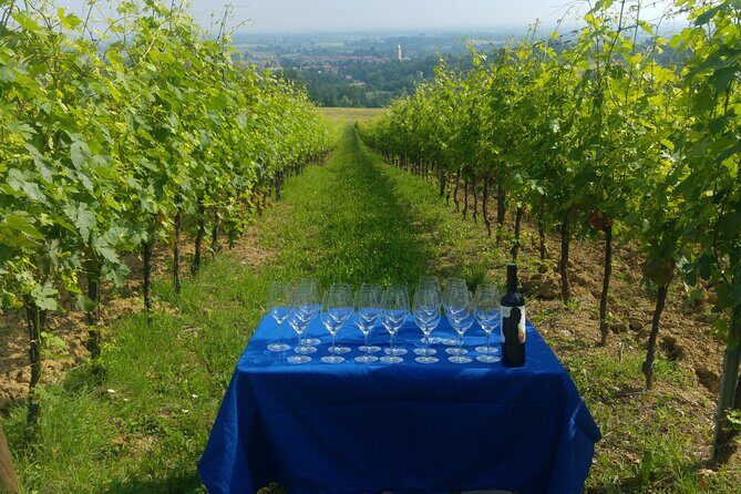 Bologna Wine Tasting & Winery Tour in the Colli Bolognesi - Who This Tour Is Best For (and Who Might Prefer Something Else)