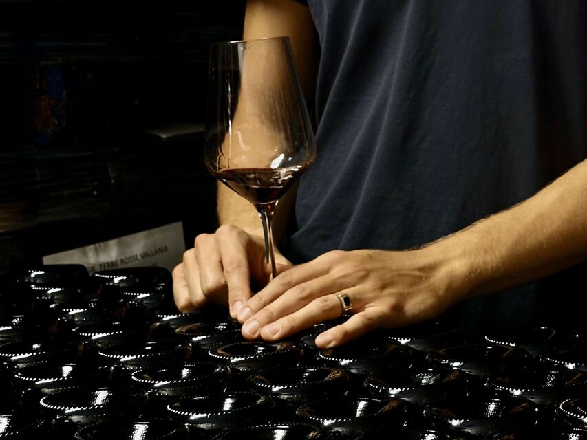 Boutique Winery Tour with Wine Tasting & Food in Bologna - Key things to know before you go