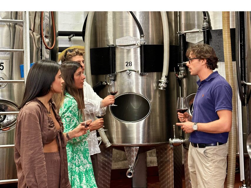 Boutique Winery Tour with Wine Tasting & Food in Bologna - The Winery and Cellar Tour: Where Traditions Meet Modern Steps