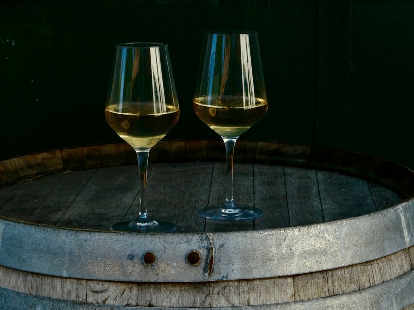 Boutique Winery Tour with Wine Tasting & Food in Bologna - Price and What You Actually Get for $65