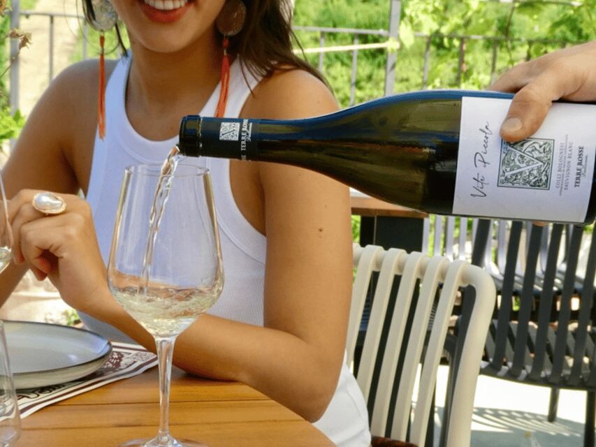 Boutique Winery Tour with Wine Tasting & Food in Bologna - Who This Tour Suits Best (and Who Should Rethink It)