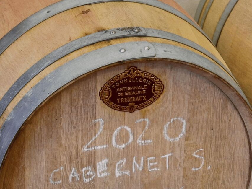Boutique Winery Tour with Wine Tasting & Food in Bologna - Should You Book This Bologna Wine Tasting?