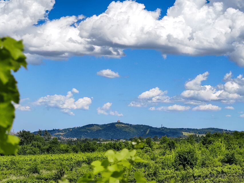 Boutique Winery Tour with Wine Tasting & Food in Bologna - FAQ