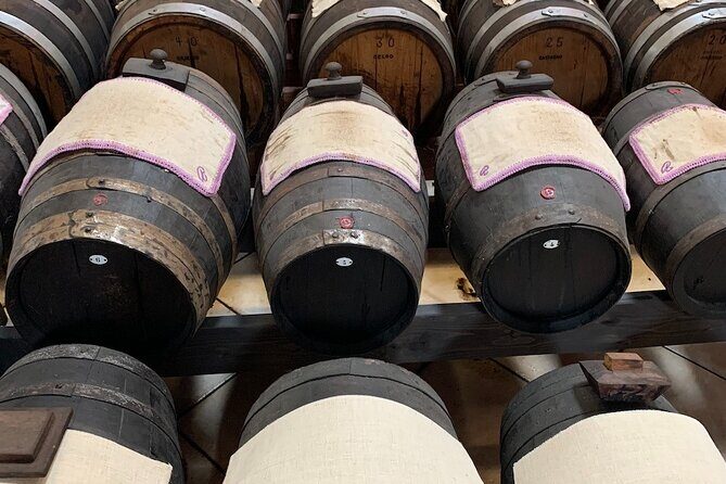 Day Tour Parmigiano, Ferrari Museum, Balsamic, Lambrusco, Lunch with Transfer - Acetaia balsamic vinegar: black gold, hands-on understanding