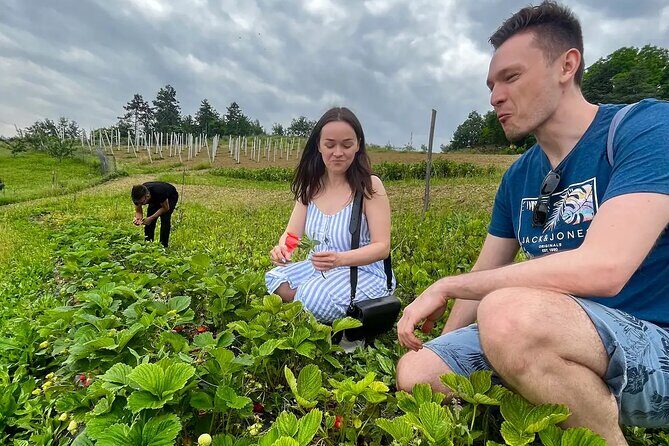 FARM STAY EXPERIENCE & DOZZA - Private Day Tour From Bologna - A Private Bologna-to-Dozza Day That Feels Like Two Real Worlds