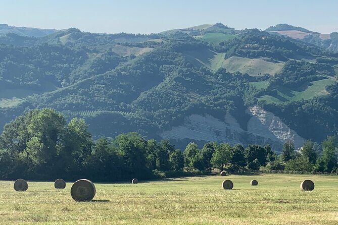 FARM STAY EXPERIENCE & DOZZA - Private Day Tour From Bologna - The Lunch That Actually Feels Like Emilia-Romagna (Three Courses + Wine)