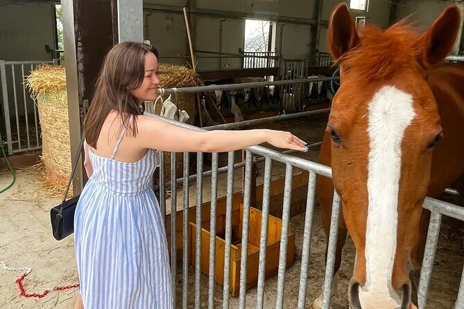 FARM STAY EXPERIENCE & DOZZA - Private Day Tour From Bologna - The 8-Hour Schedule: What the Timing Really Means