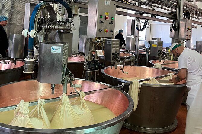 Ferrari, Parmesan and Balsamic Day Tour from Bologna - Key highlights you’ll actually care about