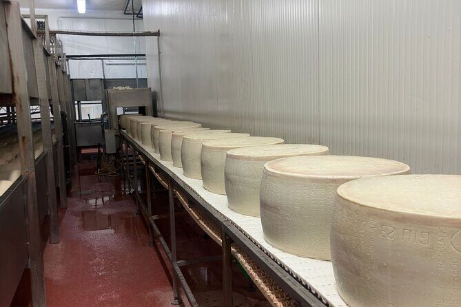Ferrari, Parmesan and Balsamic Day Tour from Bologna - The one possible snag: no private guide narration on the drive