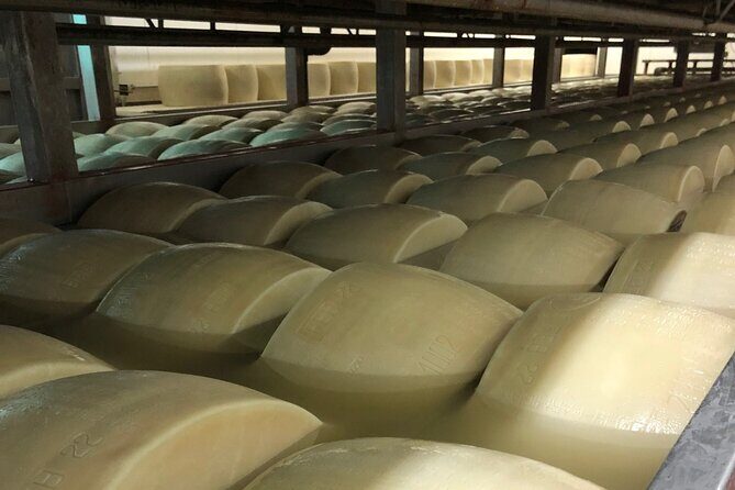Food Excellences:Prosciutto, Parmigiano, Balsamic,Lunch,Transport - A Food-Factory Day Around Bologna’s Flavor Giants