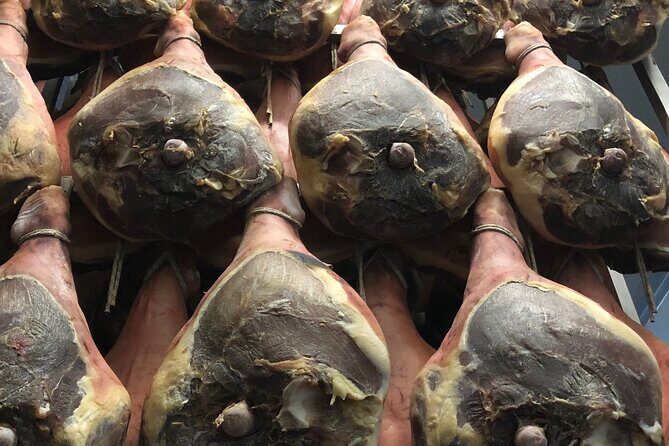Food Excellences:Prosciutto, Parmigiano, Balsamic,Lunch,Transport - Getting Picked Up in Bologna Without Stress