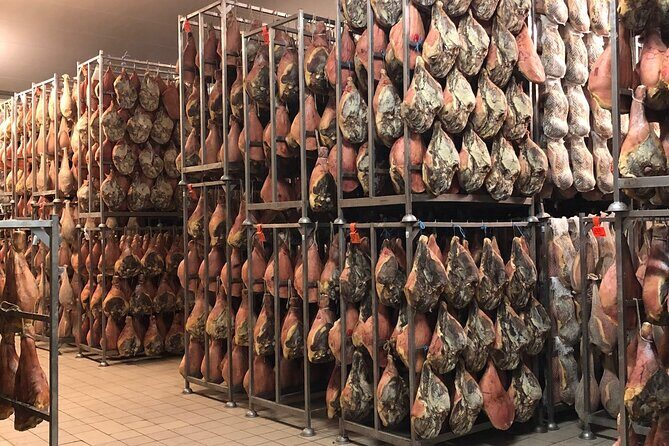 Food Excellences:Prosciutto, Parmigiano, Balsamic,Lunch,Transport - Stop 3: Acetaia Pedroni in Modena and the Real Deal on Black Gold