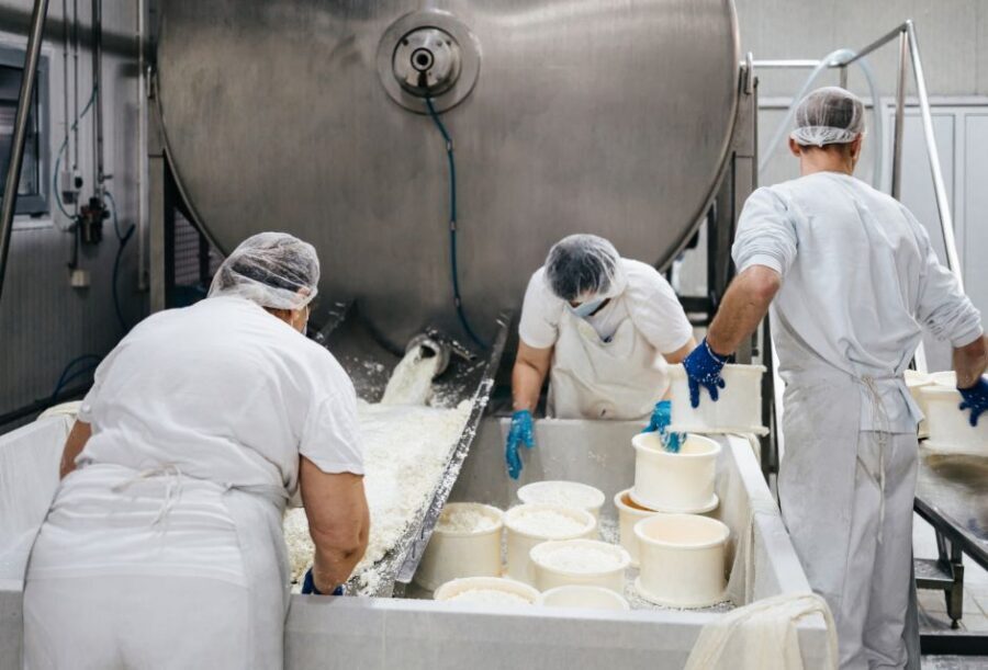 From Bologna: Emilia Excellence Food Tour - Key highlights to look for