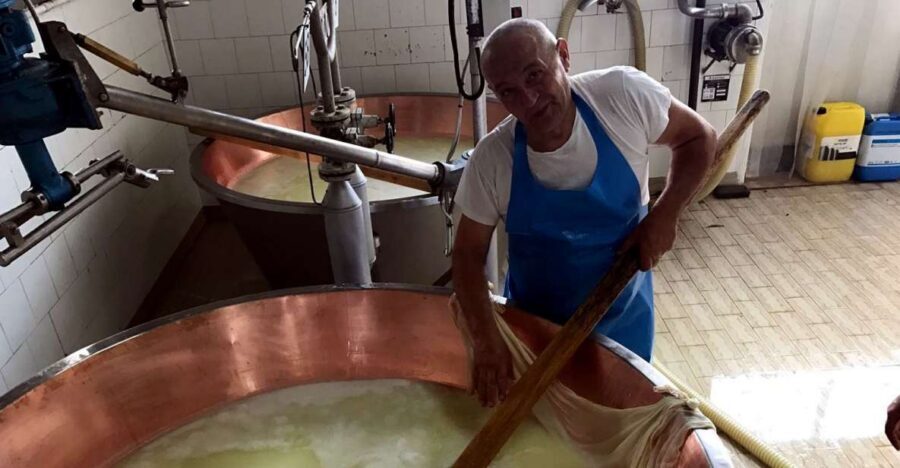 From Bologna: Emilia Excellence Food Tour - From Bologna to the producers: how this 7-hour day really feels