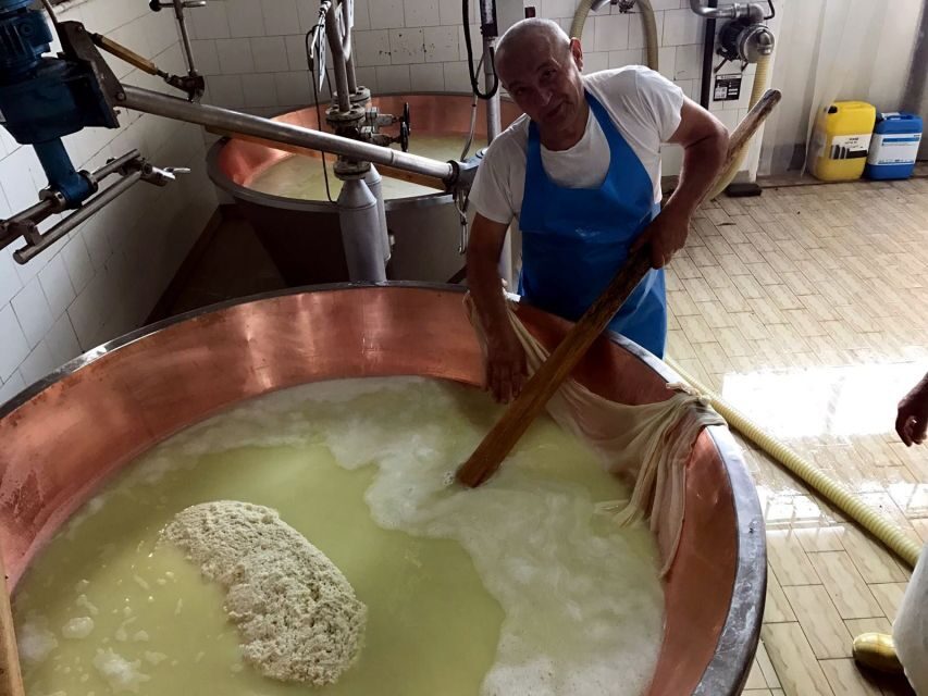 From Bologna: Emilia Excellence Food Tour - Modena balsamic vinegar: the difference you can taste, not just read