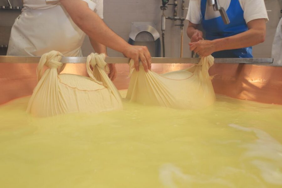 From Bologna: Parma Cheese & Ham Factory Tours and Tastings - Bologna to Parma by train: why this starts the right way