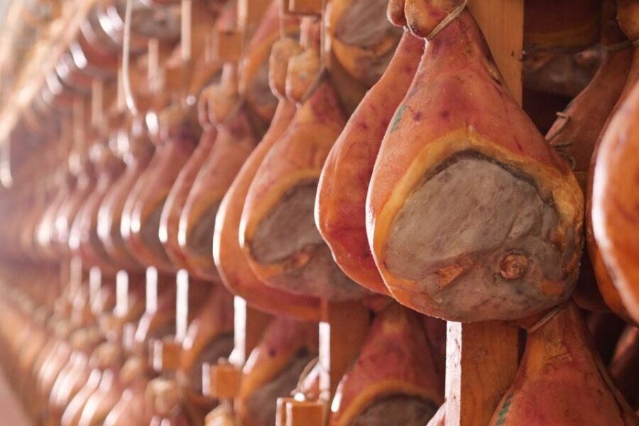 From Bologna: Parma Cheese & Ham Factory Tours and Tastings - Why the tastings feel like the point, not a side quest
