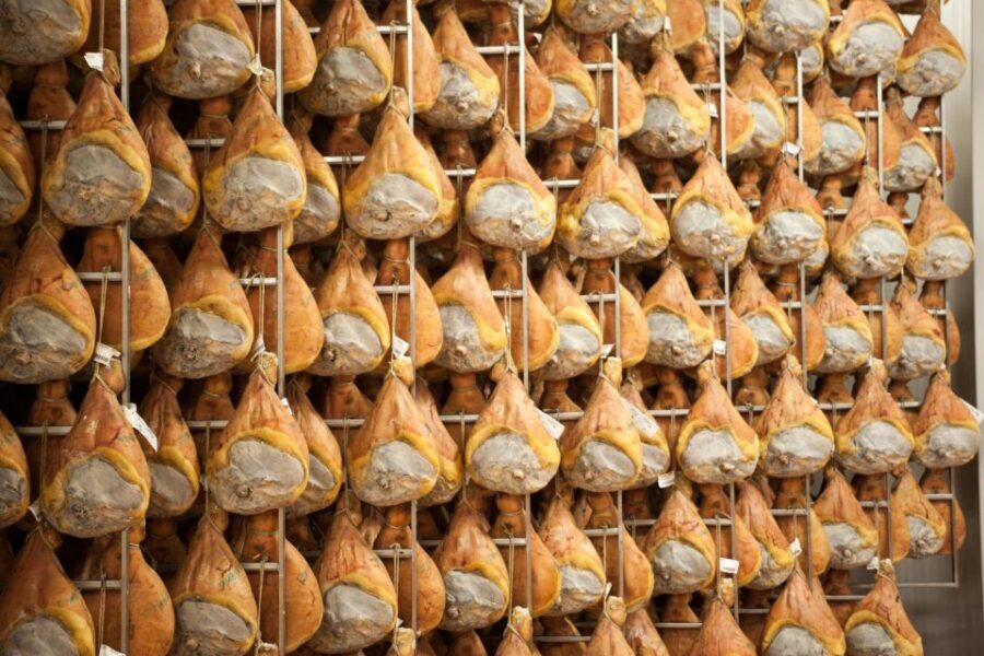 From Bologna: Parma Cheese & Ham Factory Tours and Tastings - Price and value: what $178.99 includes (and why it’s not just food)