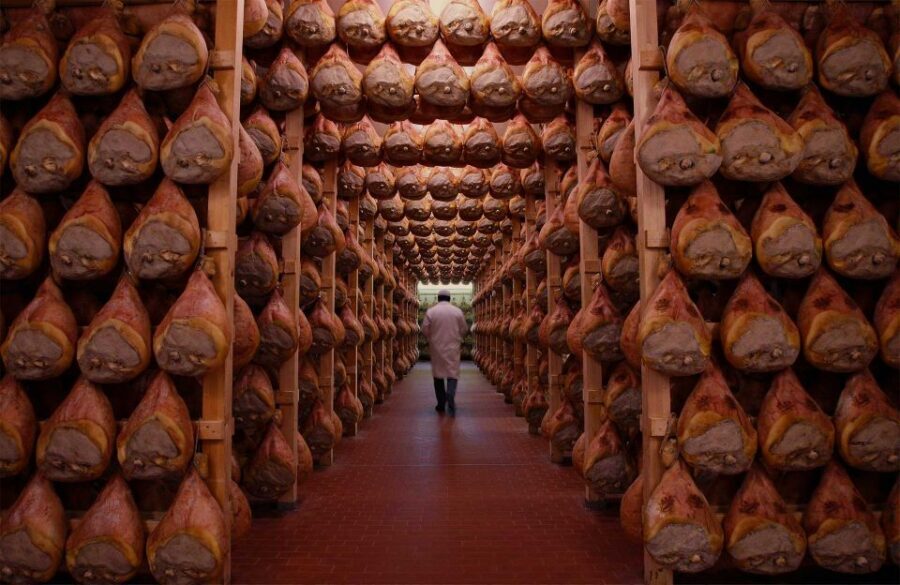 From Bologna: Parma Cheese & Ham Factory Tours and Tastings - Should you book it?