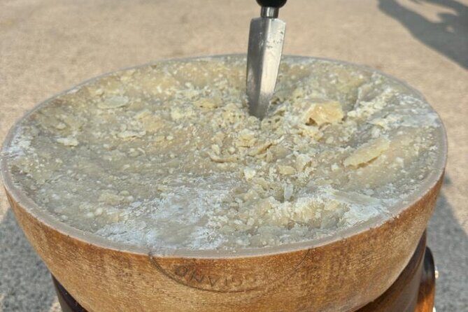 From Bologna: Parmesan Cheese & Balsamic Vinegar Tour+Lunch - Key highlights worth knowing